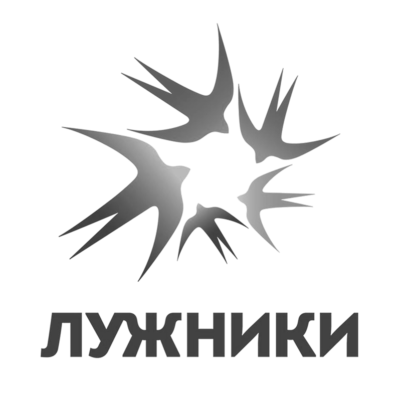 lujniki